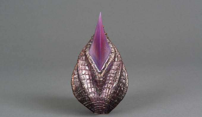 purple seed pod like structure