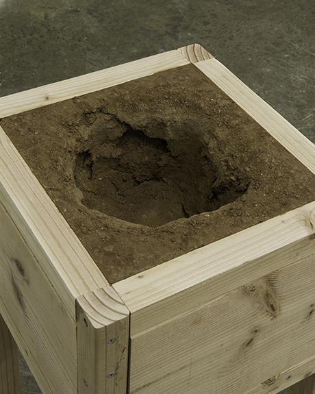 sinkhole contained in a wooden box