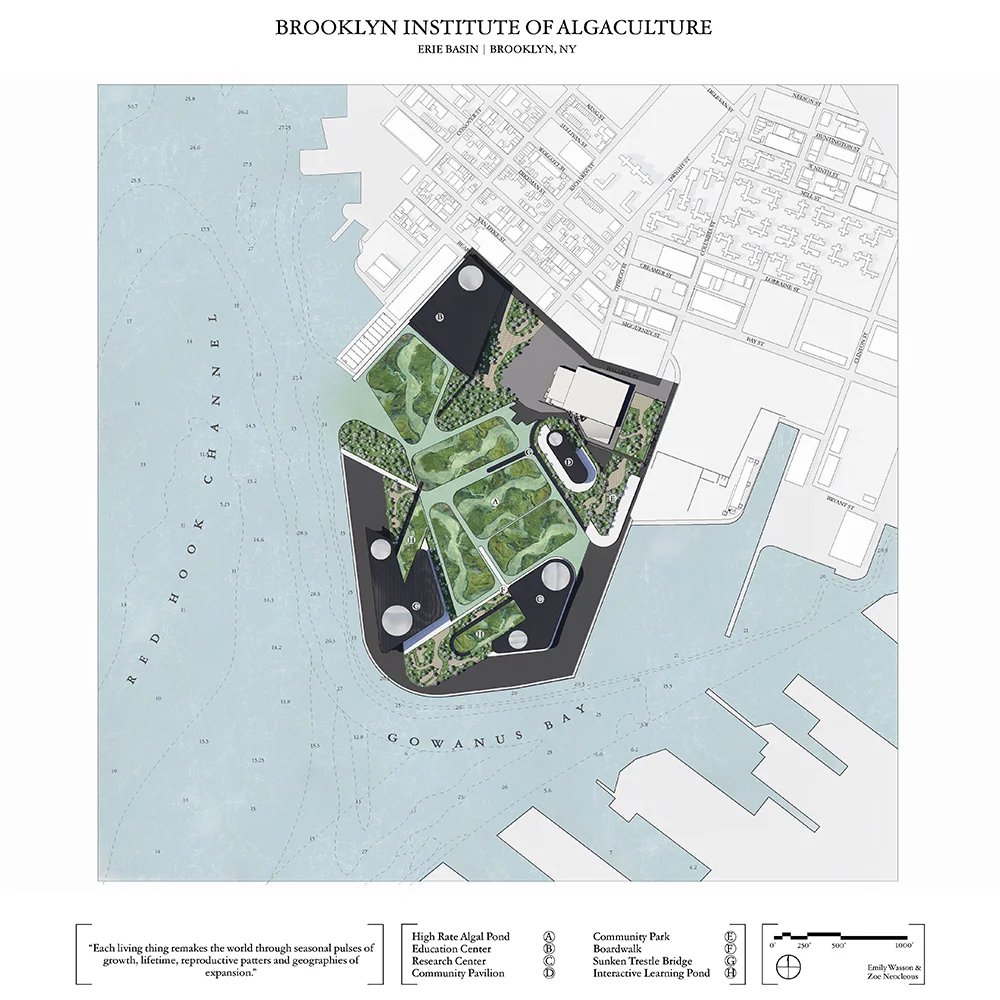 Urban Infrastructure Site Plan by Emily Wasson and Zoe Neocleous