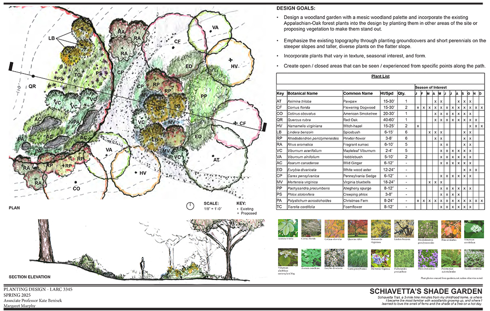 Schiavetta's Shade Garden Planting Design by Margaret Murphy