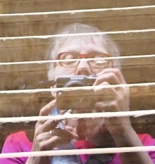 Marilyn Holsing bio marilyn holsing protrait