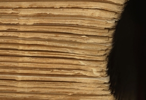 You Can Search Me Close Up of Book Pages