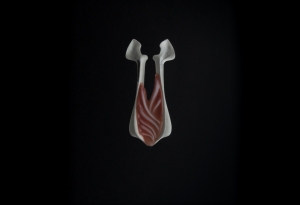 Intercostal Brooch