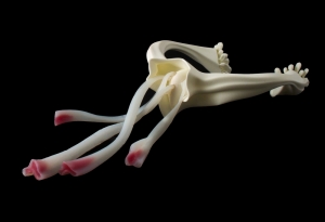 Jingshu Yang Graduate Work