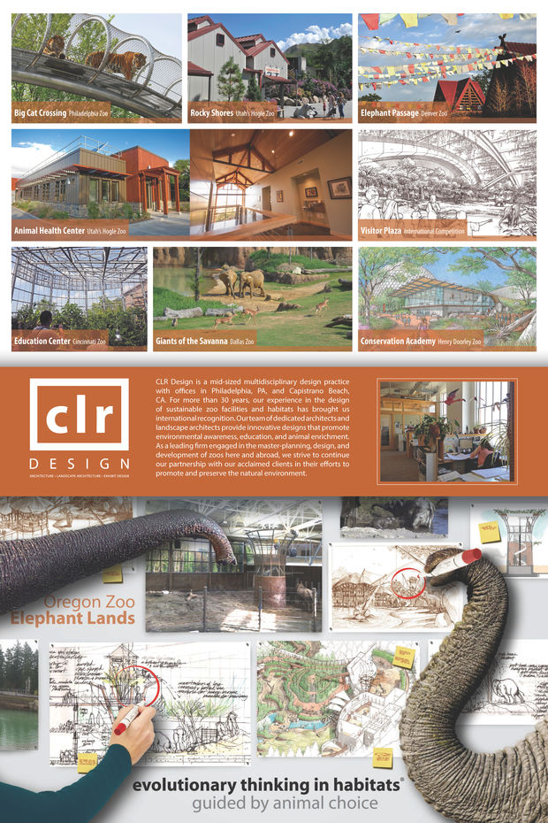 CLR design company advertisement