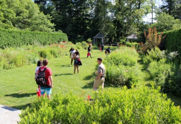 students walking in a formal garden