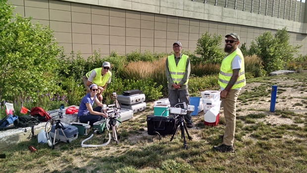 Phot of workers monitoring progress of garden 