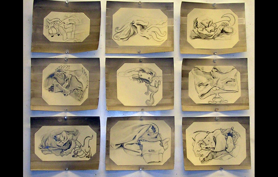 nine drawings of cloth