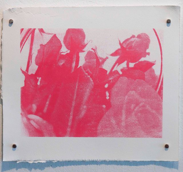 Bright pink screen print of wild roses