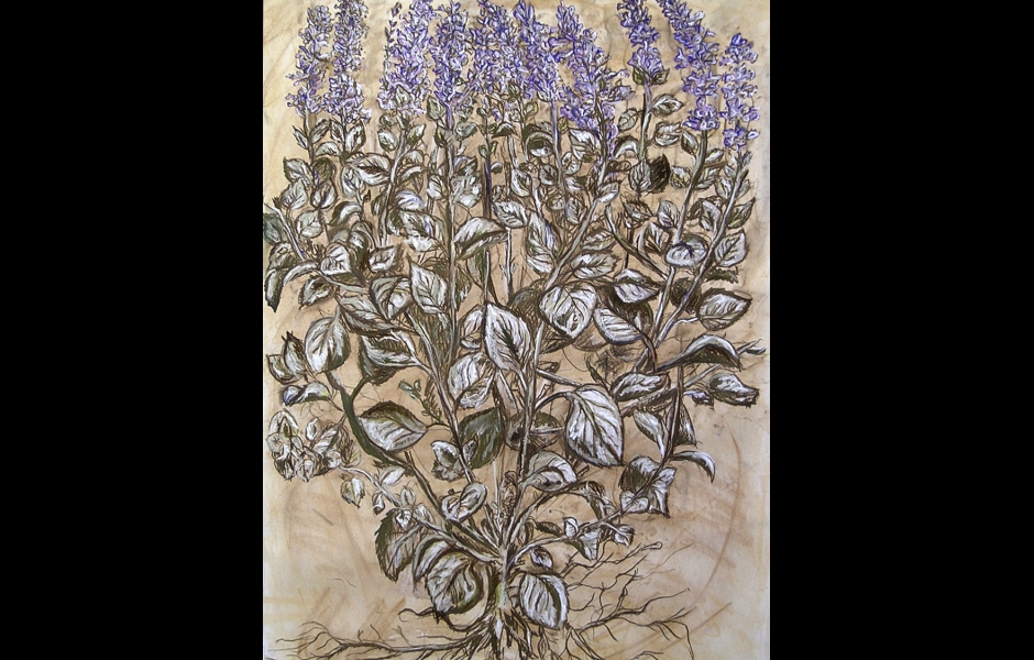 A pastel drawing of flowers