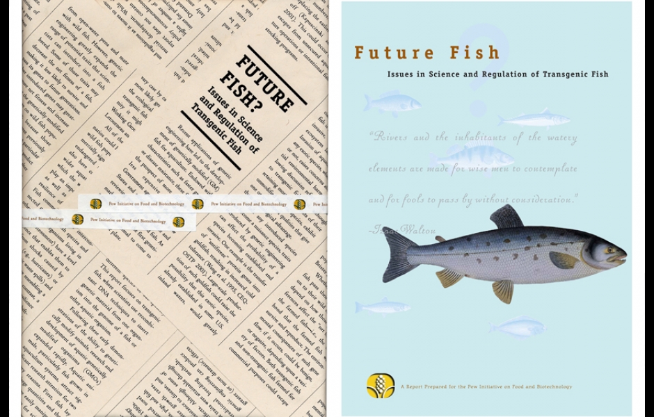book cover design future fish report