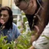 Three people working in the Tyler dye garden