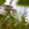 View of foliage and a fountain, with the Philadelphia Museum of Art in the distance.