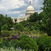 U.S. Botanic Garden