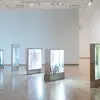 gallery work by Amanda Crain-Freeland