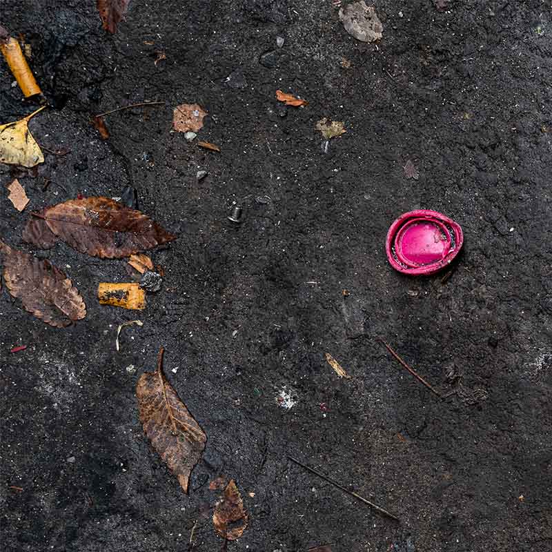 decorative profile image for Jamie Cabreza