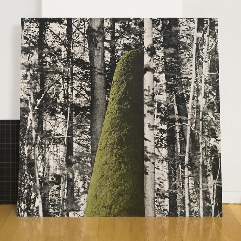 Eileen Neff
