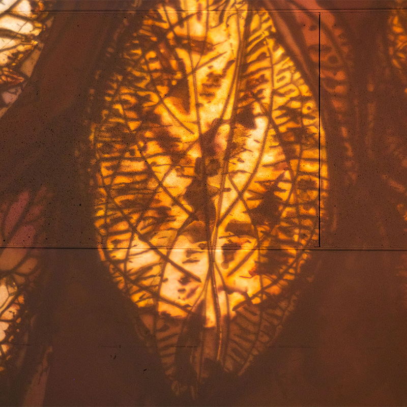 profile image for Zahra Momeni