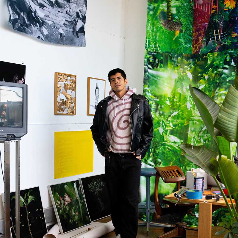 profile image of Brandon Aquino Straus